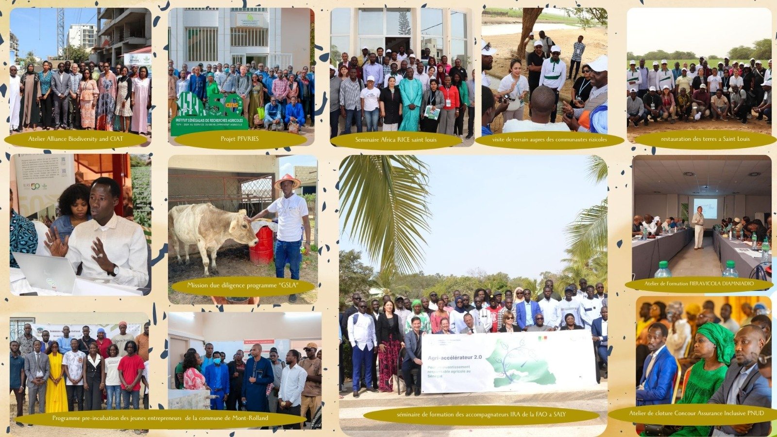 Activités Bakoli Hub Center